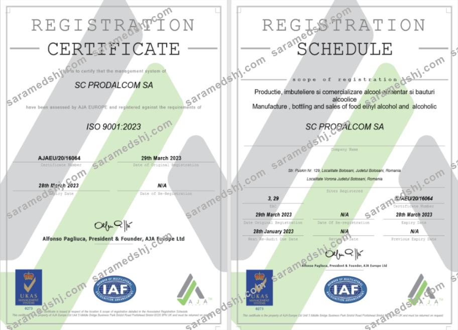 Italy certificate of registration Word and PDF template